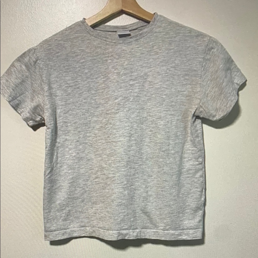 Zara Light Gray Crew Neck Tee